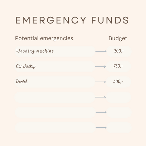 Emergency funds tracker