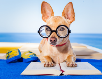 puppy reading a book wearing glassess