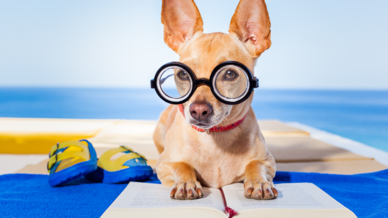 puppy reading a book wearing glassess